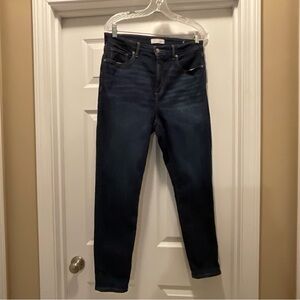 Loft jeans blue skinny curvy 10/30